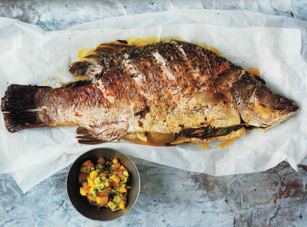 Despre Barramundi