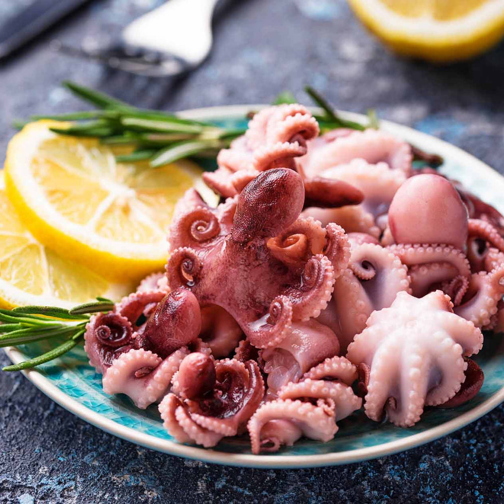 Baby-octopus-for-web-3