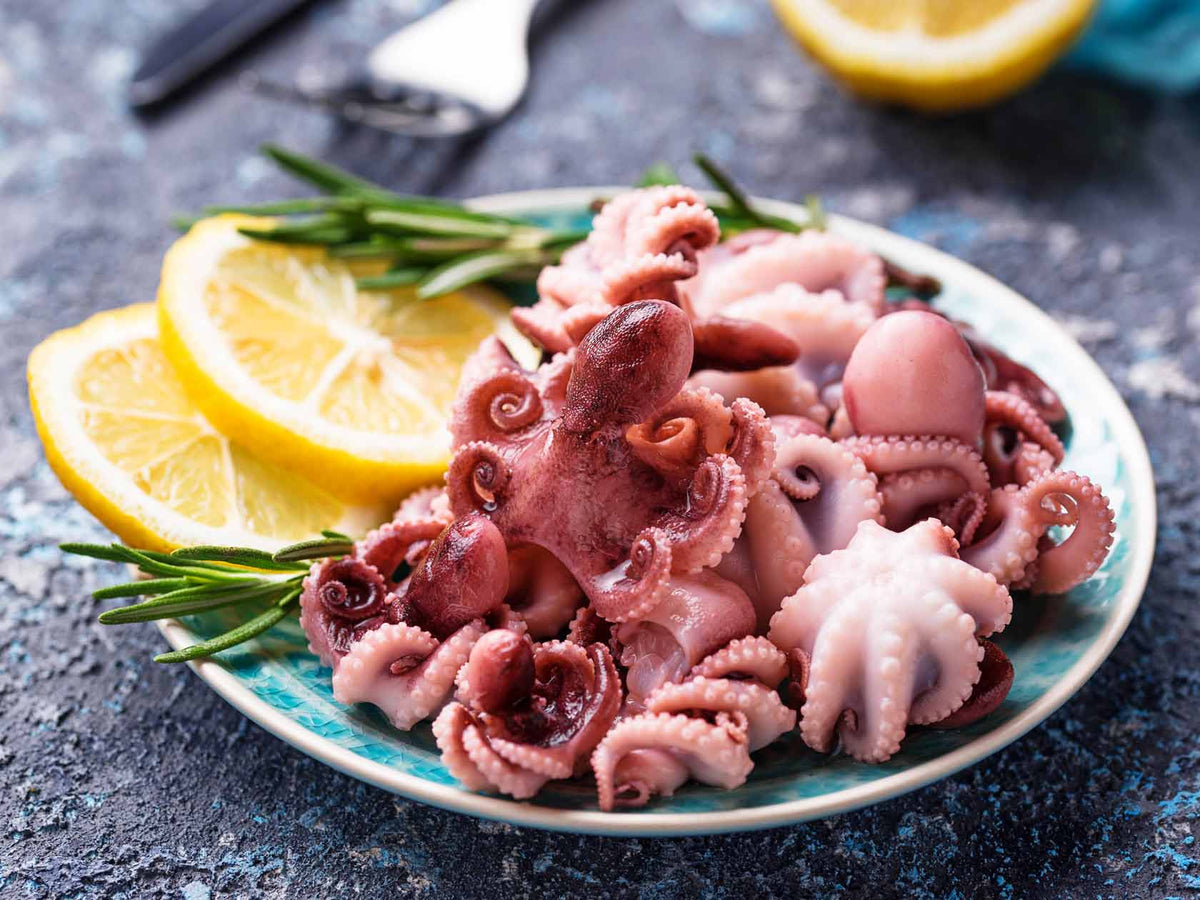 Baby-octopus-for-web-3