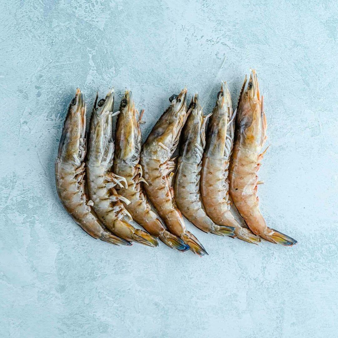 P-Whole-Wild-King-Prawns-1
