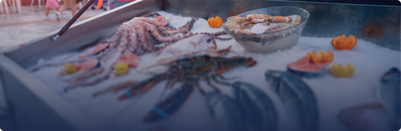 Fishtodoor