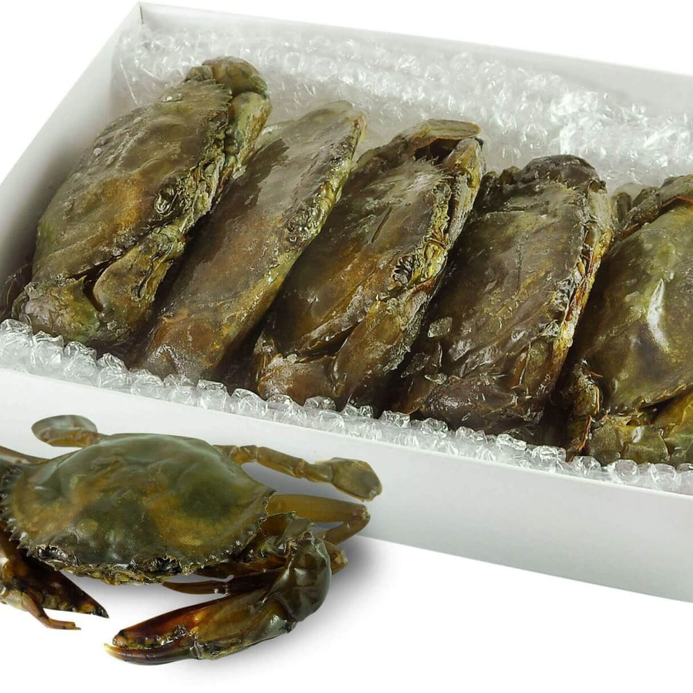 crab jumbo de noroi cu carapacea moale