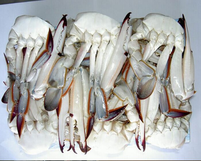 crabi-injumatatiti-800g