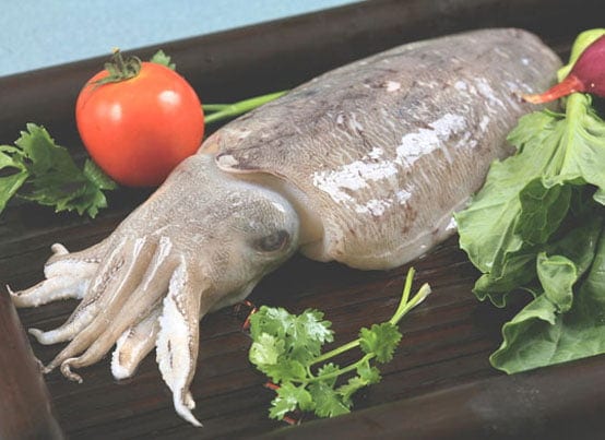 cuttle-whole