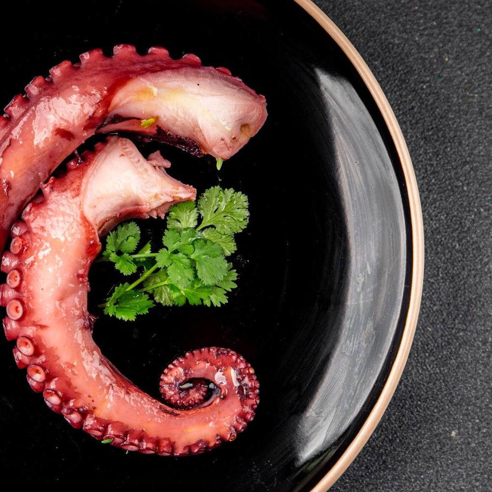 fishtodoor-tentacule-caracatita-prefierte-maroc