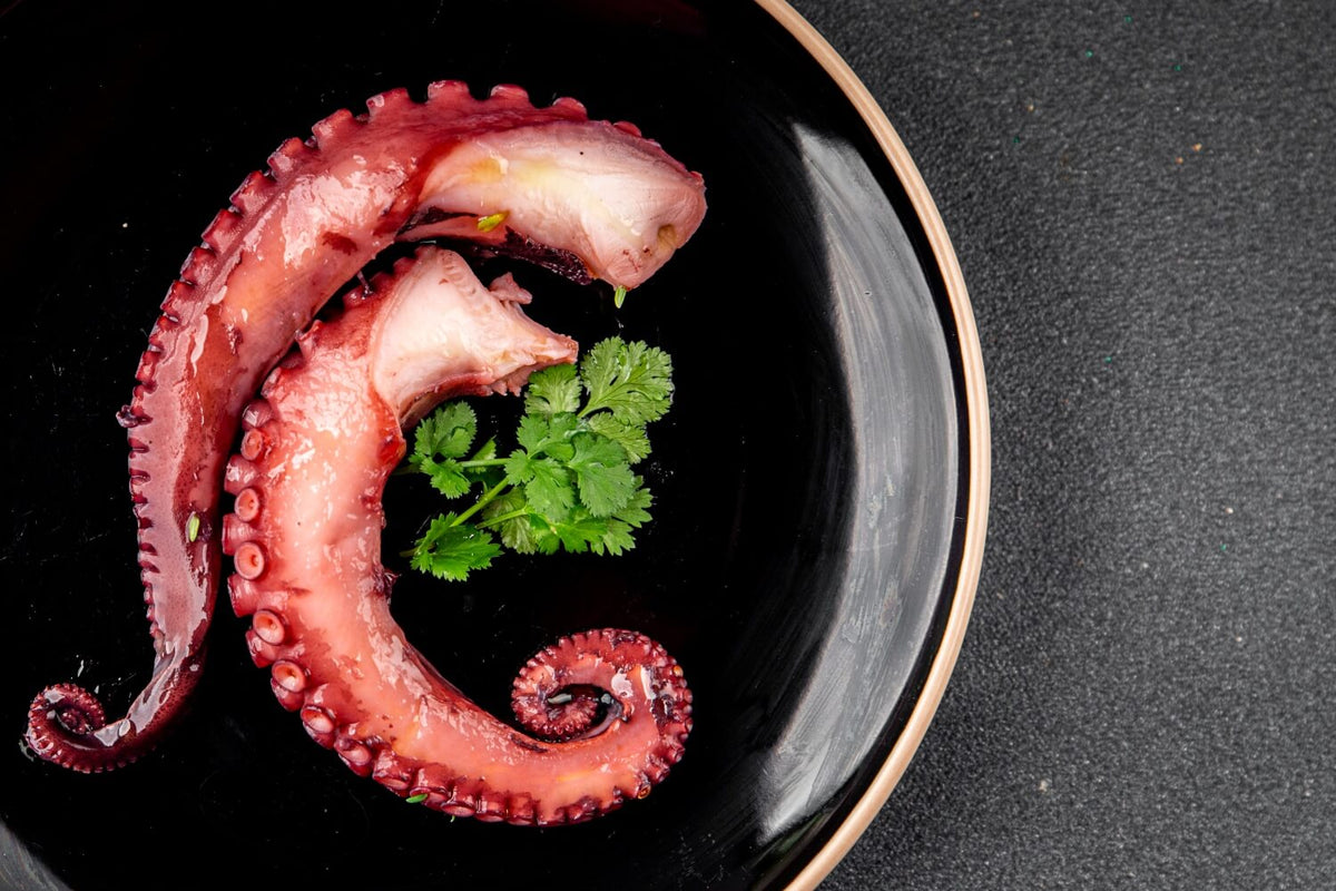 fishtodoor-tentacule-caracatita-prefierte-maroc