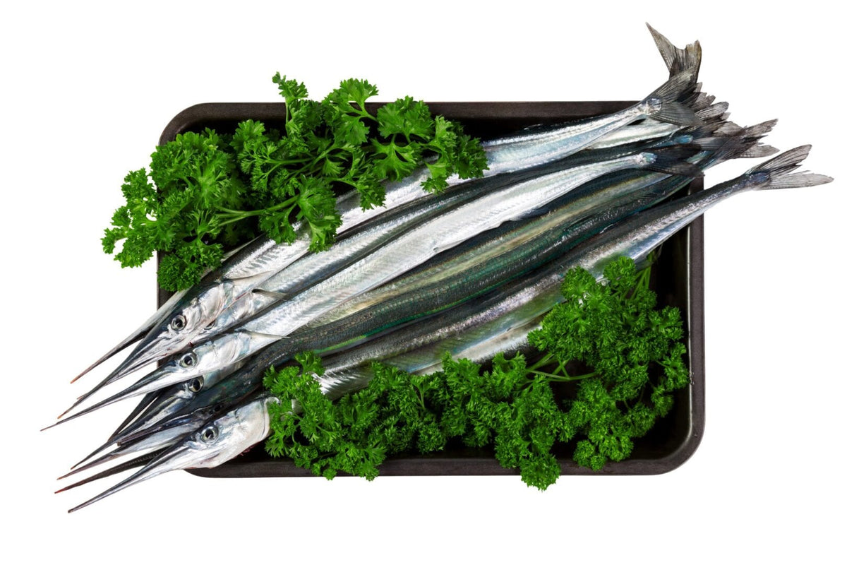 Fresh fish garfish (Belone belone) in leaves of parsley