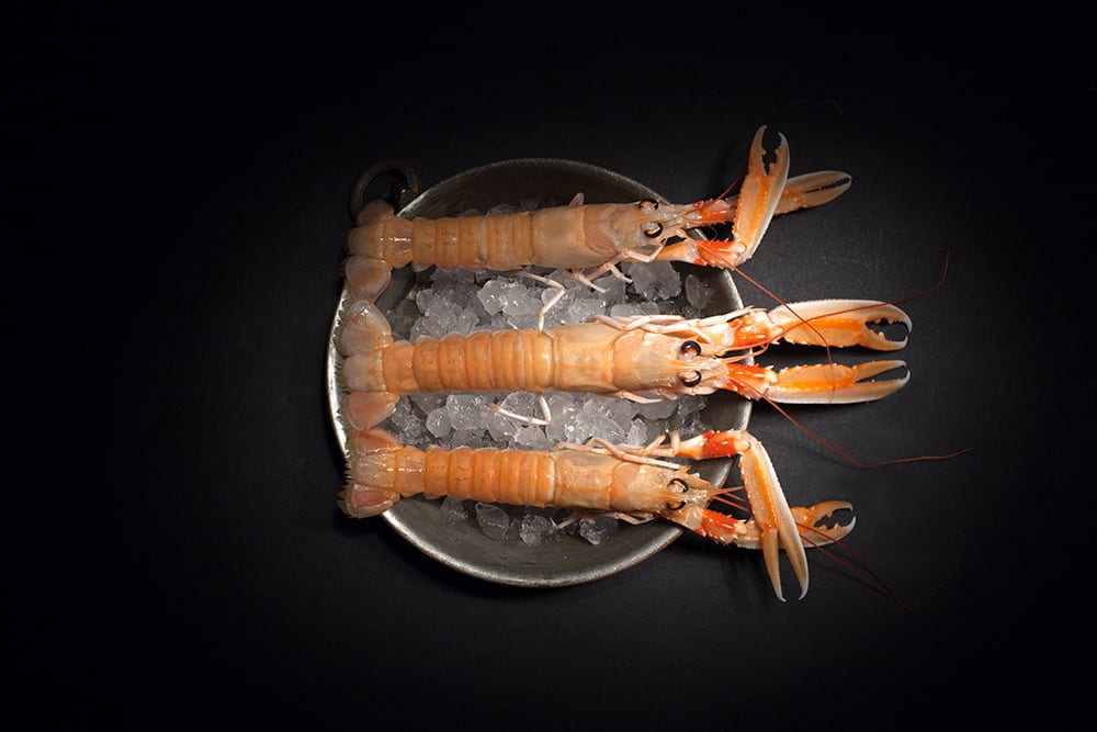 Raw Lobsters On Ice