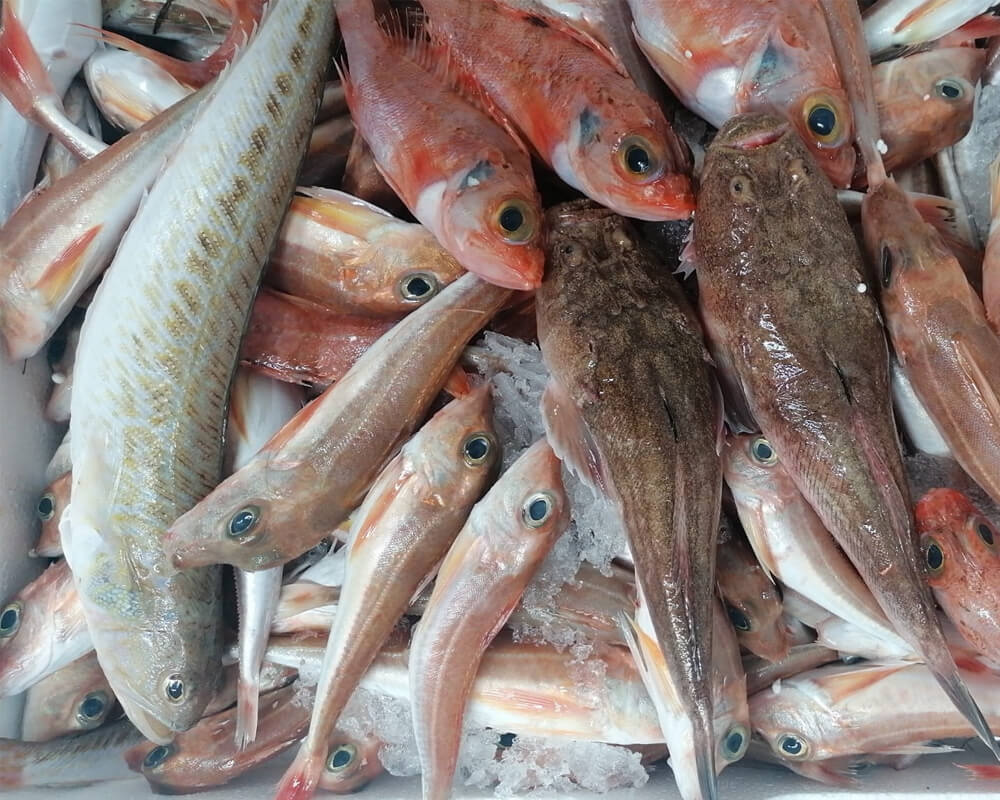 mix-peste-mediteranean-fishtodoor