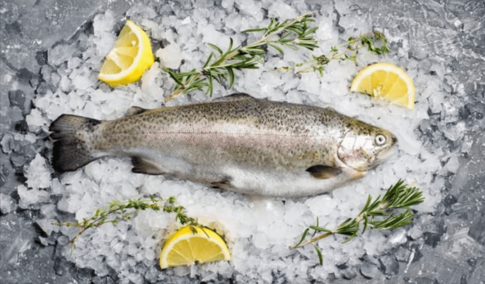 pastrav-eviscerat-fish-to-door-1