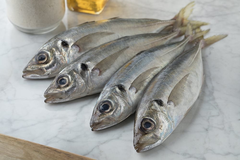 
                  
                    Fresh raw horse mackerels
                  
                