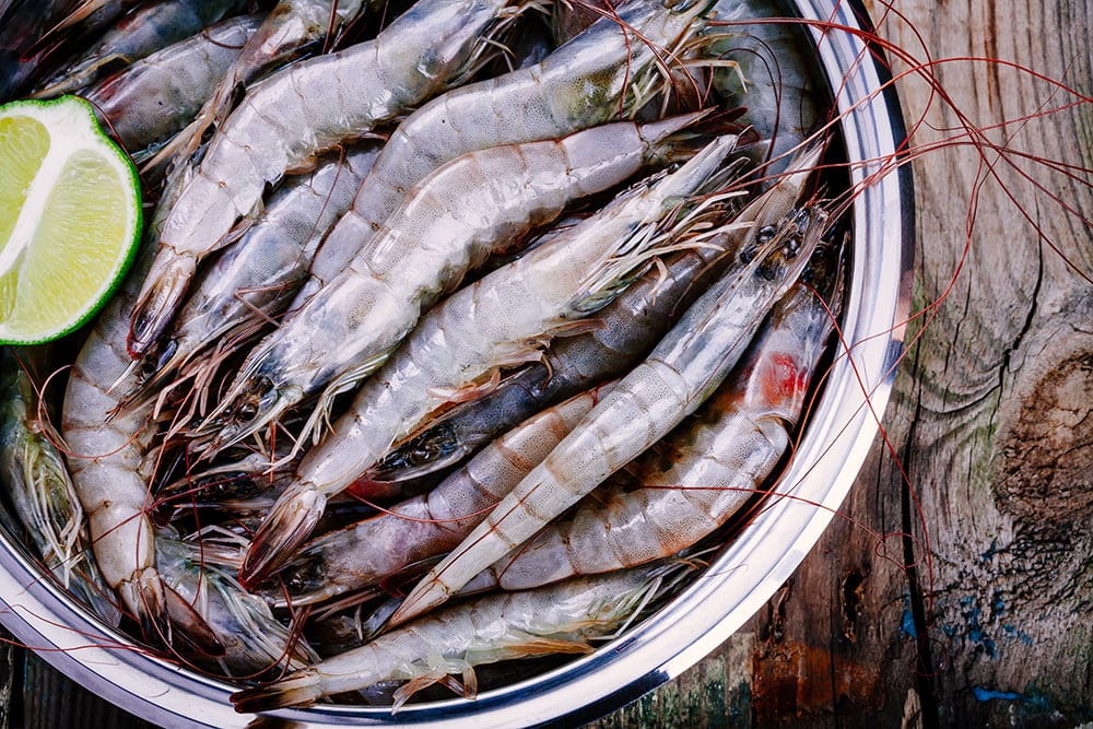Whole fresh raw shrimps seafood closeup
